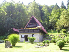 Holiday house with a parking space Gusti Laz, Gorski kotar - 17993